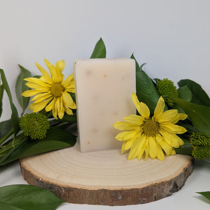 Eucalyptus Aloe Hand Crafted Soap